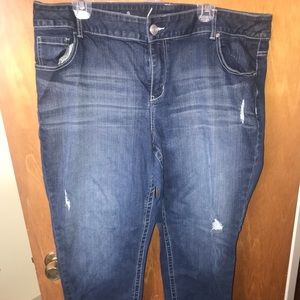 Lane Bryant Skinny Jeans